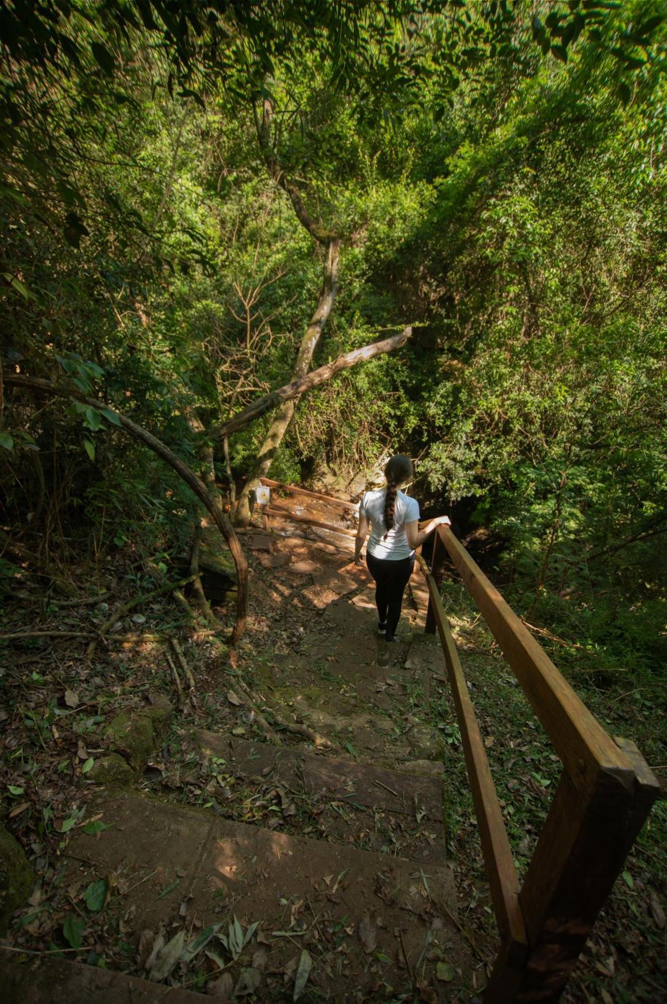 Vista Alegre Natural Resort - Bungalows Independencia エクステリア 写真